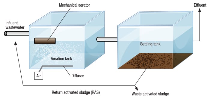 Commonly identified activated sludge solids separation problem in
