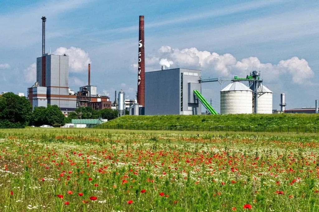 a grassy meadow with red flowers with an industrial plant in the distance, large smokestak is labeled Solvay